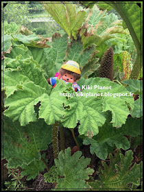 kiki monchhichi set de camping, rouelles forêt explorateur