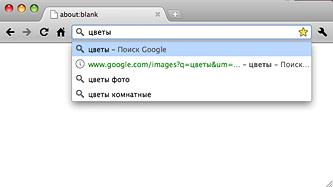 Омнибокс Google Chrome