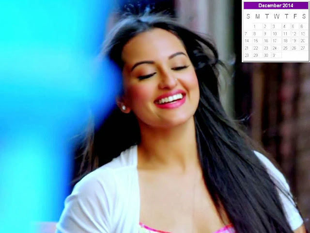 Sonakshi Sinha Calendar 2014