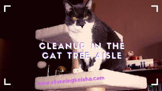 Cleanup in the Cat Tree Aisle