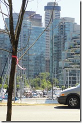 DSC07498 Yacht Harbor near Stanley Park