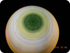 DSCN6753