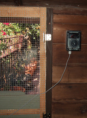 timer inside the chicken coop and connected it through the wire door 