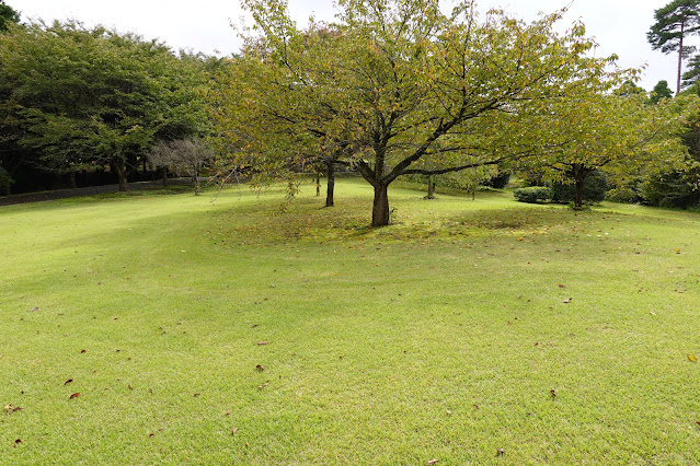 鳥取県西伯郡南部町鶴田　とっとり花回廊　桜の広場