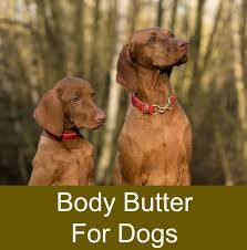 natural dog products