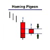 145 CANDLESTICK PATTERNS || PAGE 17 || (33) Homing Pigeon ;(34) Descending Hawk