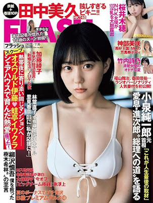 Download free Flash N.1653 – 19 July 2022 Japanese gravure idol magazine in pdf