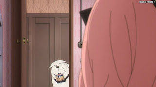 スパイファミリーアニメ 21話 ボンド | SPY x FAMILY Episode 21