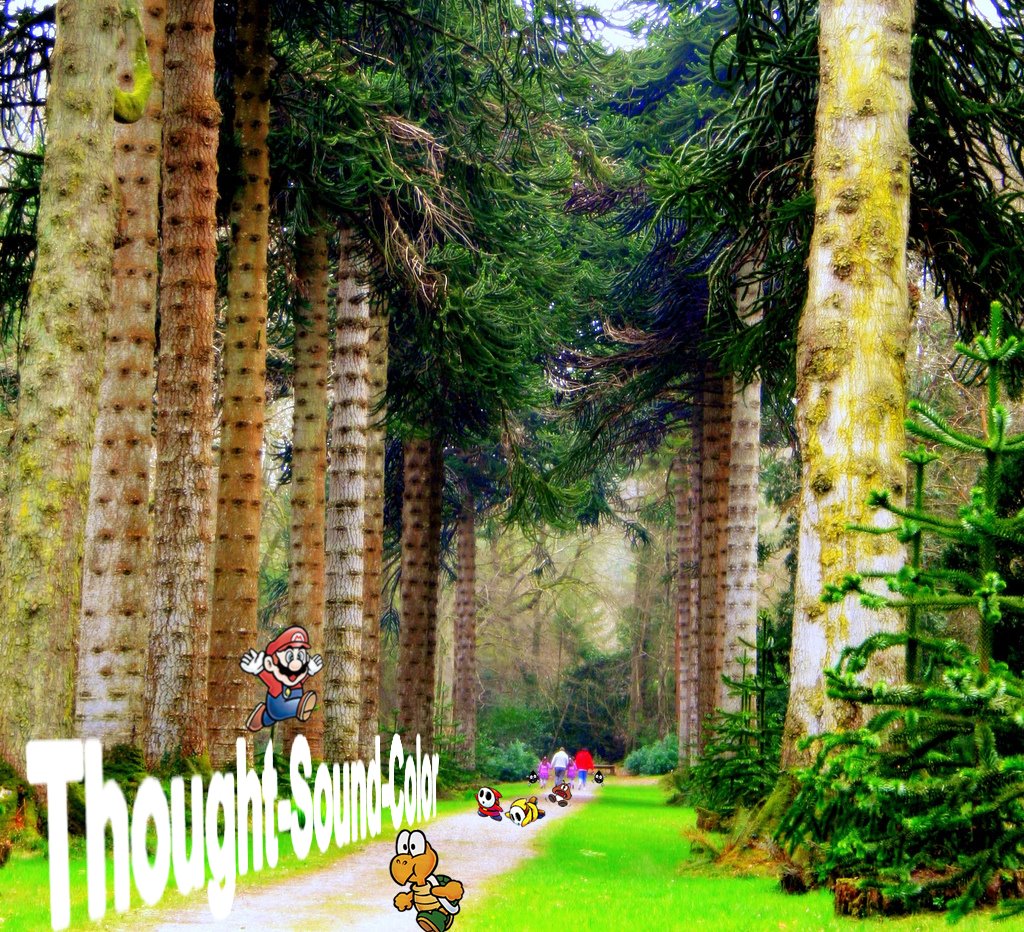 Thought-Sound-Color