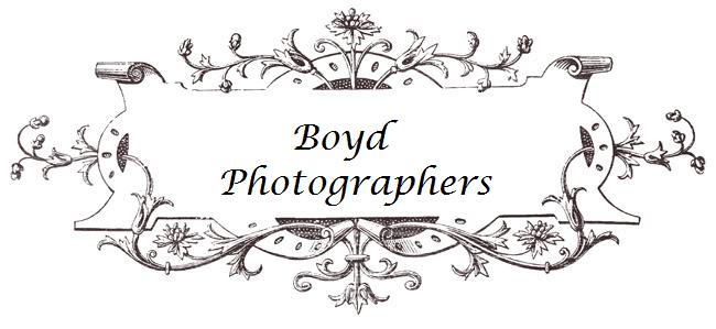 2010 Openings