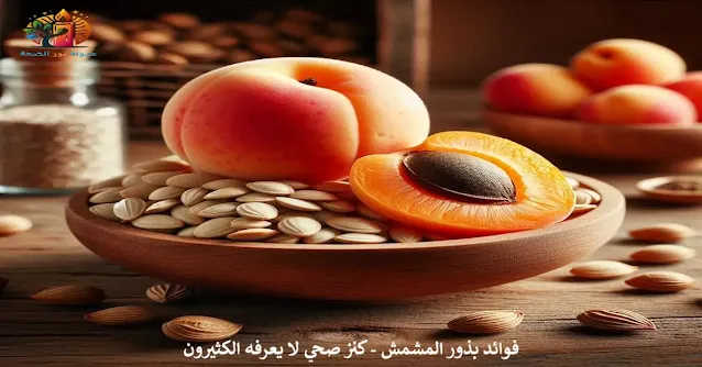 بذور المشمش مع ثمرة مشمش ناضجة، توضح الفوائد الصحية لبذور المشمش.