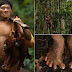 Ανακάλυψαν νέα Ανθρώπινη Φυλή στον Αμαζόνιο - Αυτό όμως που Σόκαρε τους Επιστήμονες είναι…