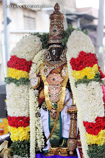 Kodai UTsavam,Thiruvallikeni, Sri PArthasarathy Perumal, Temple, 2017, Video, Divya Prabhandam,Utsavam,