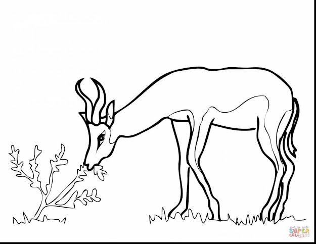 Stunning South African Animal Coloring Pages With Africa Coloring Pages And  Ancient Africa Coloring Pages