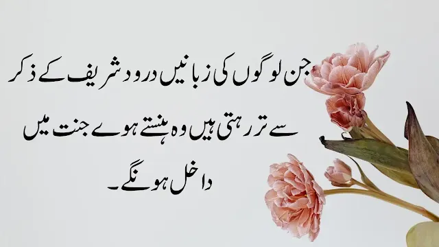 20+ Best Quotes Of Hazrat ALI (R.A)
