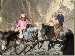 Cañon del Colca 017