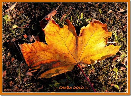 otoño