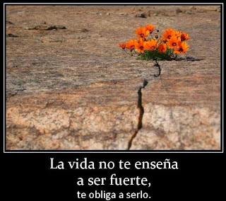 FRASES DE ANIMO CON IMAGENES