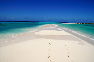 Jesus Augusto Sarcos Romero - Los Roques: playas paradisíacas.