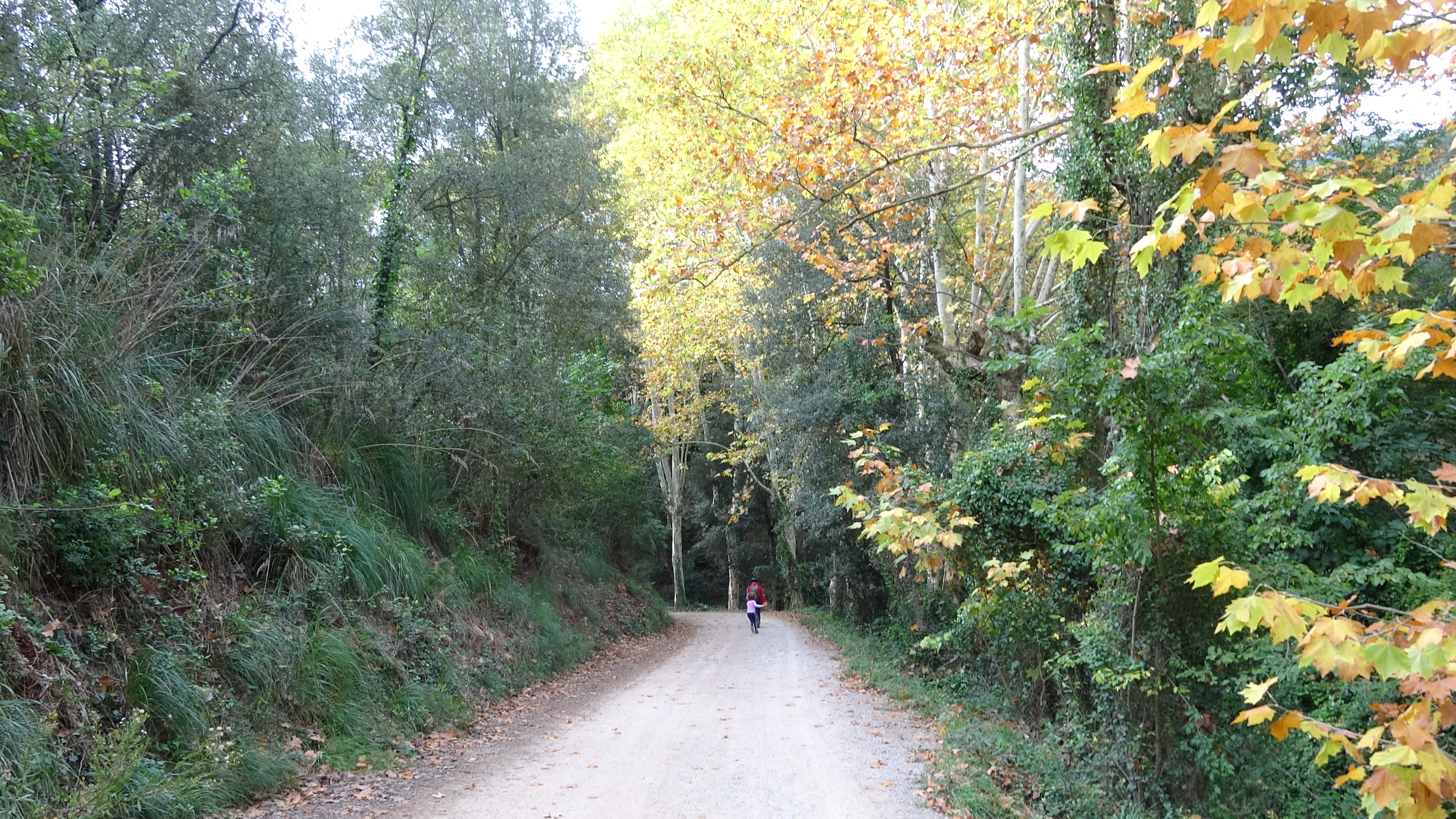 Excursión circular a la Cova Bogunyà y el Vall d'Arús