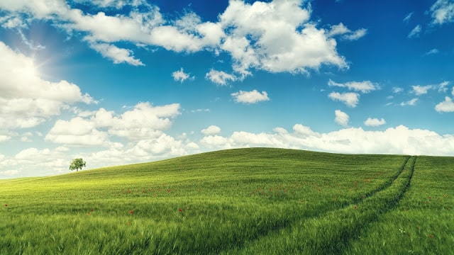 windows xp  hd wallpaper