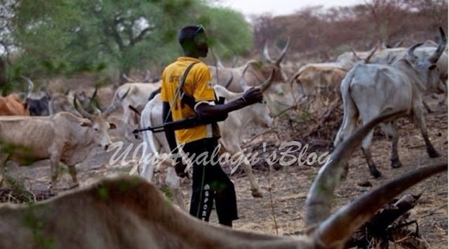 Northern Group Insists On 30-Day Ultimatum, Says No Peace Unless Herdsmen Move Freely