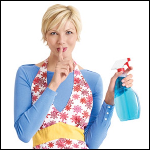 cleaning-pro-070206-de