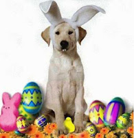Dog Easter Basket2