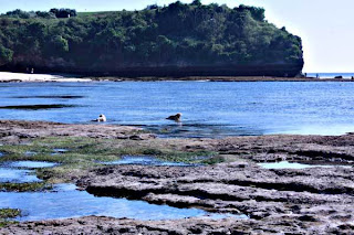 Balangan Beach