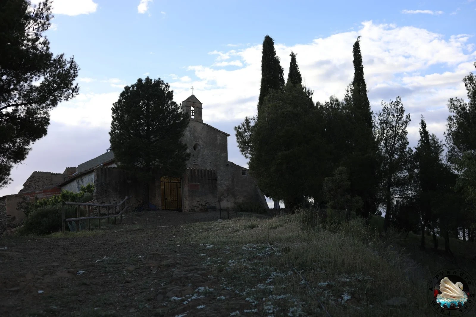 Le vignoble d'Alvaro Palacios : admirer les paysages à l'origine de son vin L'Ermita