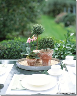 Arranjo informa- Living