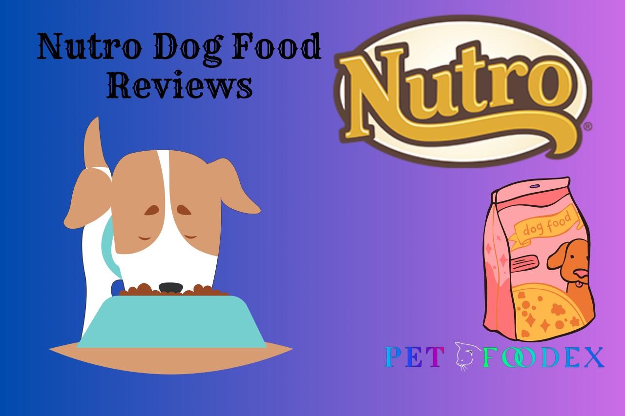 Nutro Dog Food Reviews