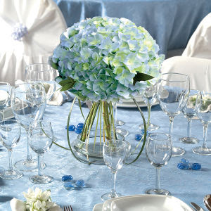 Aqua Blue Decorations