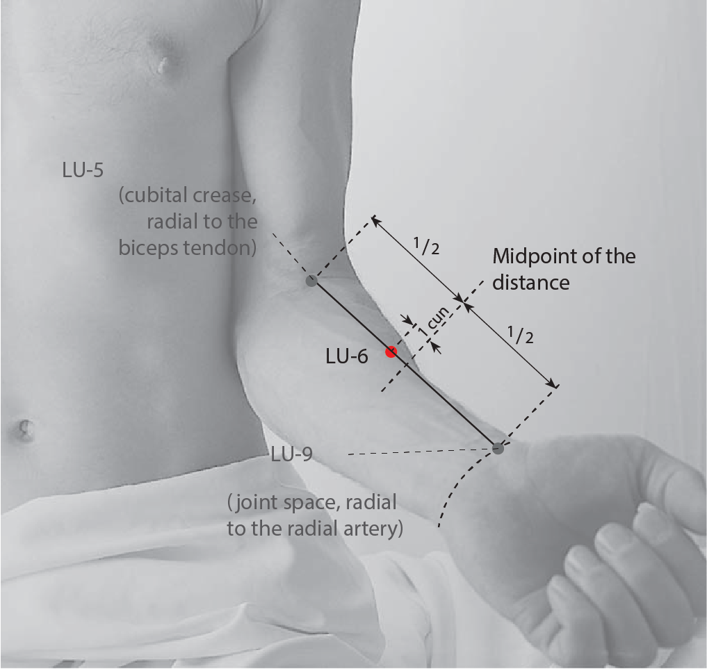 LU6 - Biggest Hole KONGZUI -  The Lung Channel System – Hand-taiyin (shou tai yin jing luo) - Acupuncture Point Location