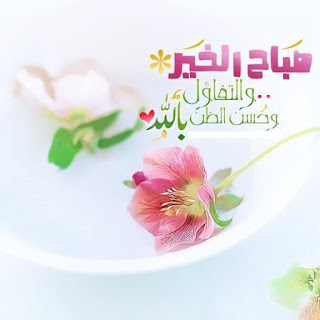 صباح الخير,صباح,الخير,صباح الورد,حبيبي,ماجد,المهندس,صباح النور,ورد,صباحو ورد,صور صباح الورد,صباح الفل,كلمات صباح الخير,زراعه الورد,زراعه الخضروات,صباح الباسمين,تكاثر الورد,زراعه الخوخ,اجمل كلمه صباح الخير,الخير،,احلا كلمات صباح الخير,زراعه الريحان