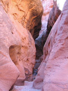 Narrows in Escalante National Monument