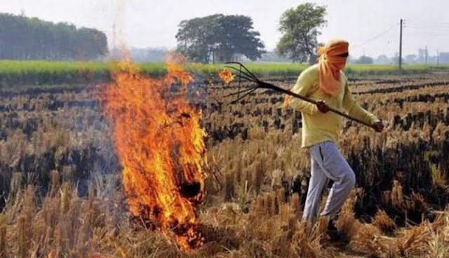 मना करने के बावजूद खेत में जल रही पराली, बुझवाने में लगे अधिकारी