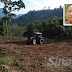 Tanaman, tanah perkuburan orang asli Temiar musnah 