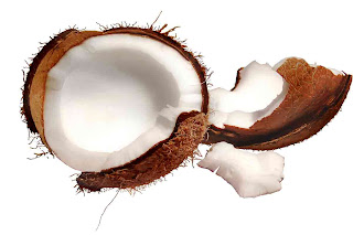 health_benefits_of_eating_coconut_fruits-vegetables-benefitsblogspot.com(12)