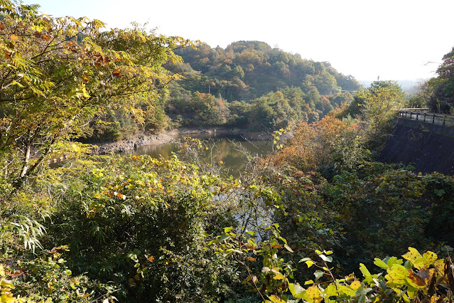 鳥取県西伯郡南部町朝金 朝鍋ダム