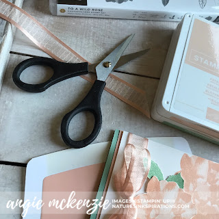 Ink & Inspiration Blog Hop - June 2019 - Focus on Tools | SUPPLIES by Stampin' Up!® | Nature's INKspirations by Angie McKenzie