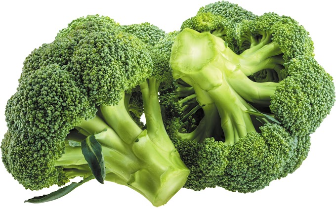 The Numerous Health Advantages of Broccoli
