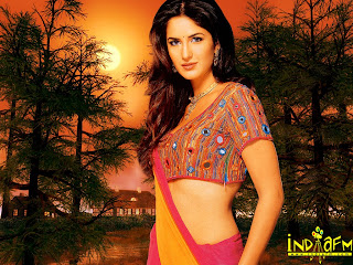 Top Bollywood Celebrity Wallpapers