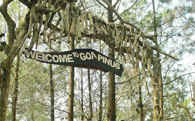 Keelokan dan Keindahan Wisata Goa Pinus Malang, Jawa Timur