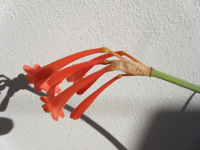 2011_12080080.JPG