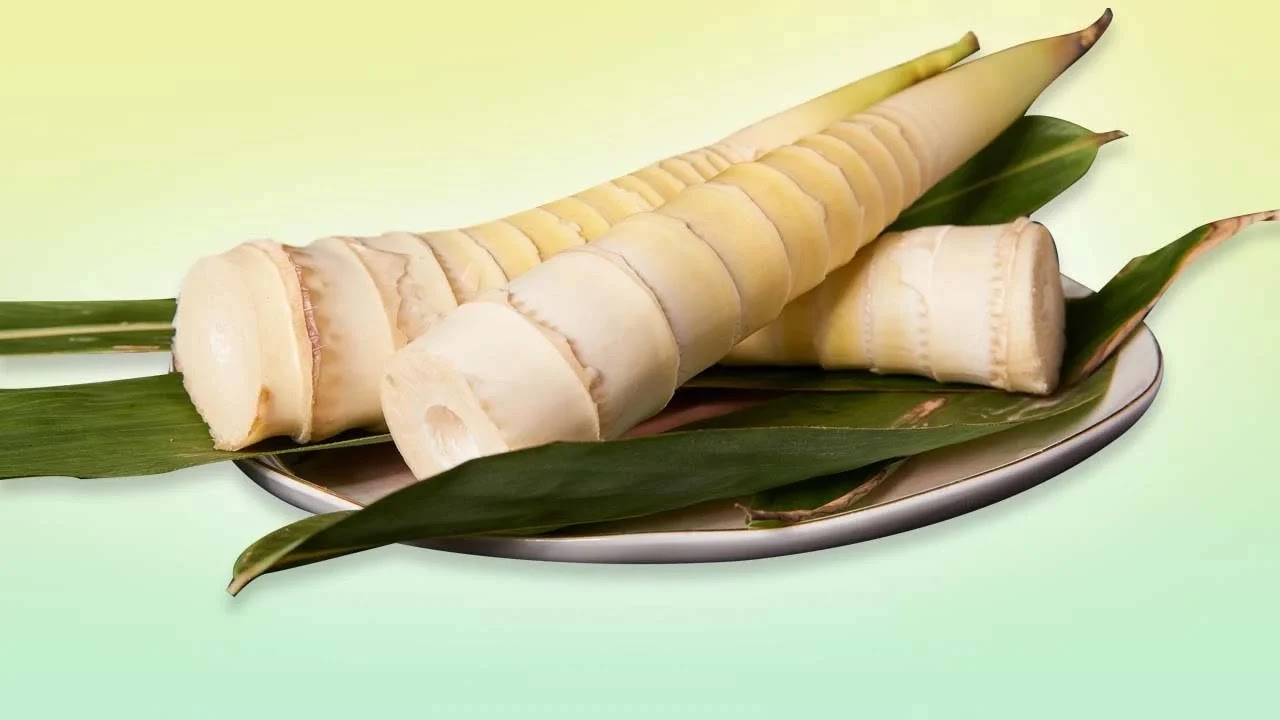 Cari tahu manfaat rebung bambu untuk kesehatan di Puri Megah Cipondoh. Rebung bambu adalah tumbuhan bambu yang bisa dimakan dan kaya akan vitamin, mineral, dan nutrisi yang bermanfaat bagi tubuh, seperti meningkatkan kekebalan tubuh, menurunkan tekanan darah, menjaga kesehatan jantung, mencegah anemia, dan mencegah penyakit kanker. Konsumsi rebung bambu bisa menjadi pilihan yang baik bagi warga Puri Megah Cipondoh untuk menjaga kesehatan mereka