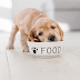 How To Choose The Right Food For Your Dog