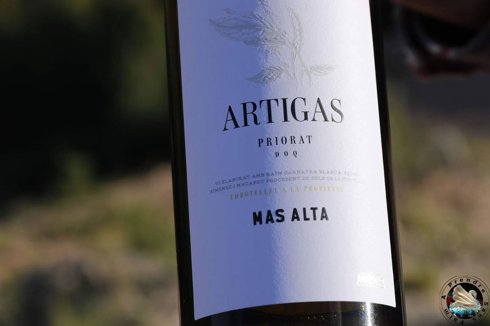 Visite et dégustations de vins à Bodegas Mas Alta - Vilella Alta