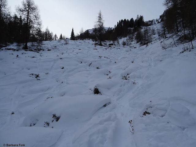 Wenig Schnee in den Tuxer Alpen. Bei der Abfahrt besteht erhöhte Verletzungsgefahr (Foto: 15.12.2022)
