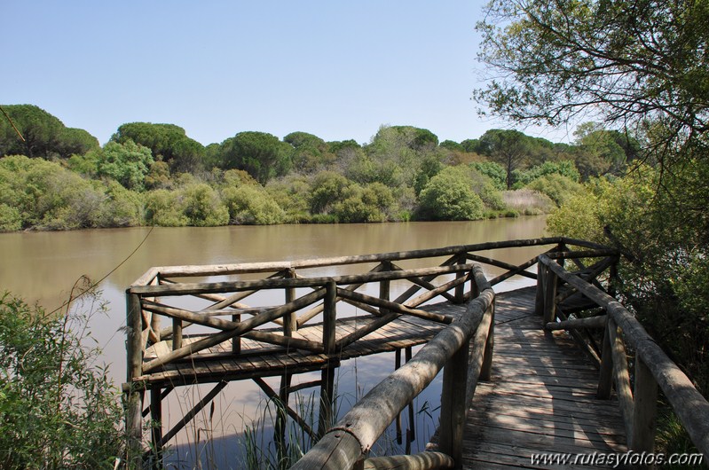 Sendero del Acebron